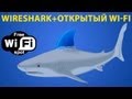 Wireshark, взлом и защита в открытых wi-fi сетях