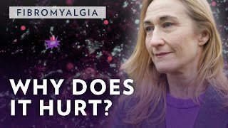 Fibromyalgia  why it aches so bad