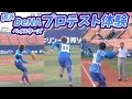 横浜DeNAベイスターズのプロテスト受験!ハマスタ柵越えでGM驚愕