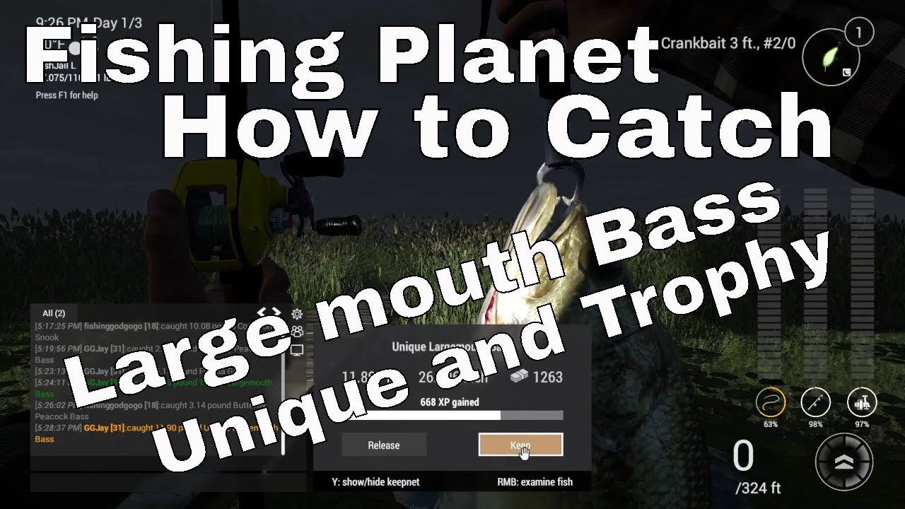 Fishing How to Catch Large mouth Bass Unique and Trophy YouTube