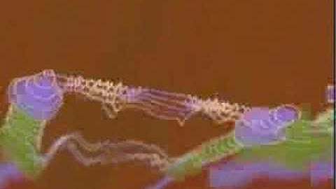 Sinik -- Je réalise