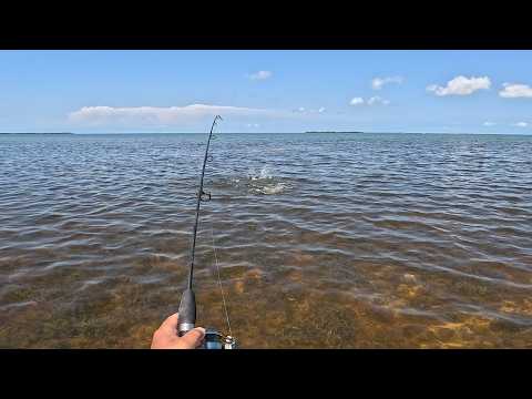 Solo Skiff Beach