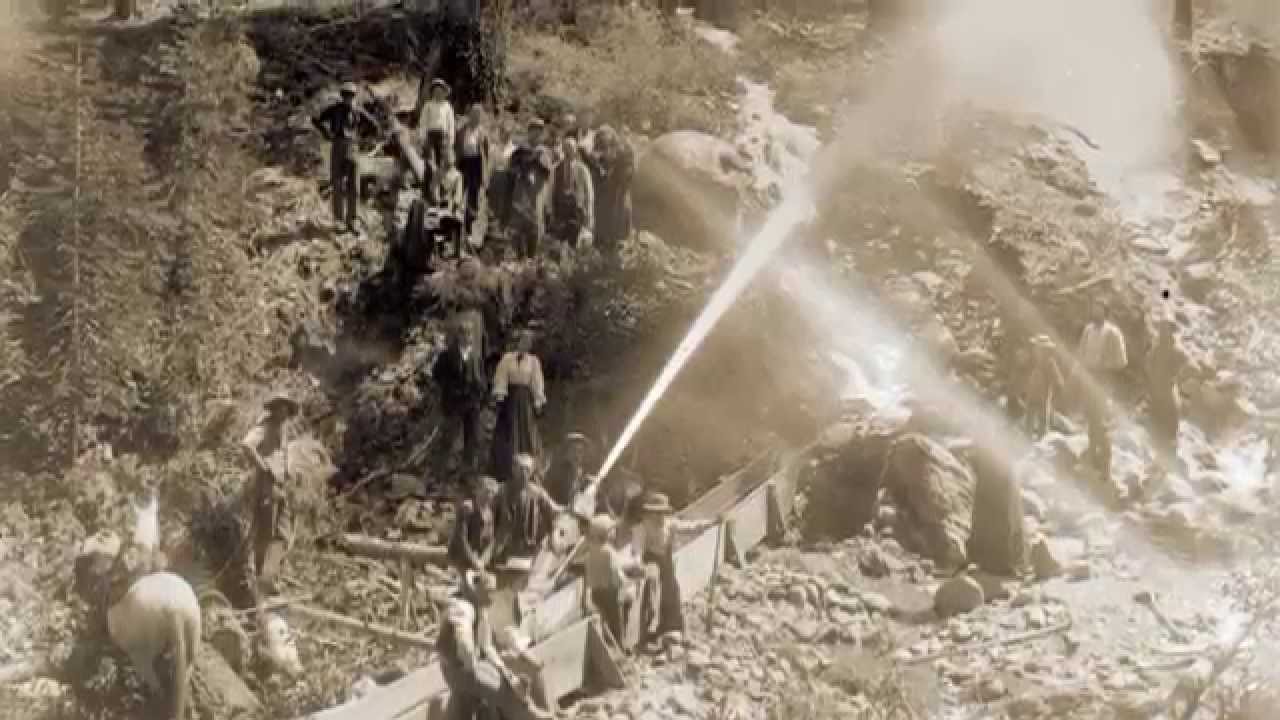 California condors: Here they soared