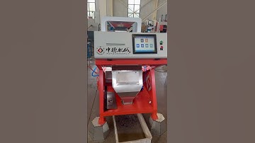 Color sorter selects impurities from single crystal silicon #ricecolorsortermachine #copper