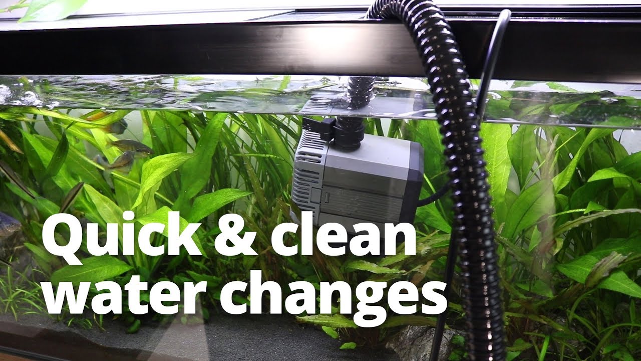 Haven Beperken Danser Quick and easy water changes using a pond pump - YouTube