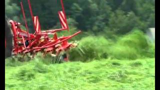 Lolus Sia Sip Spider Oficiālais Pārstāvis Latvijā