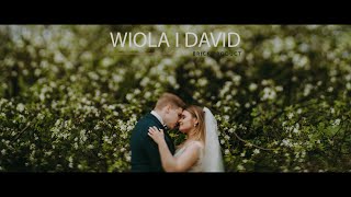 Wiola i David highlight Brick Product Weddings