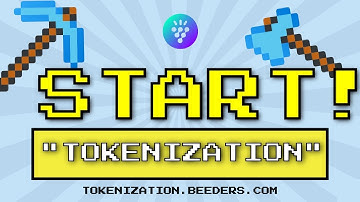 Beeders Tokenization - Starting the Tool