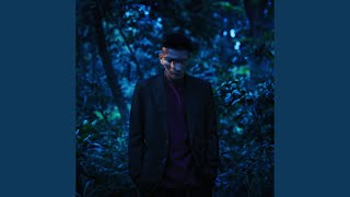 We Go On (feat. SALU) - AKLO