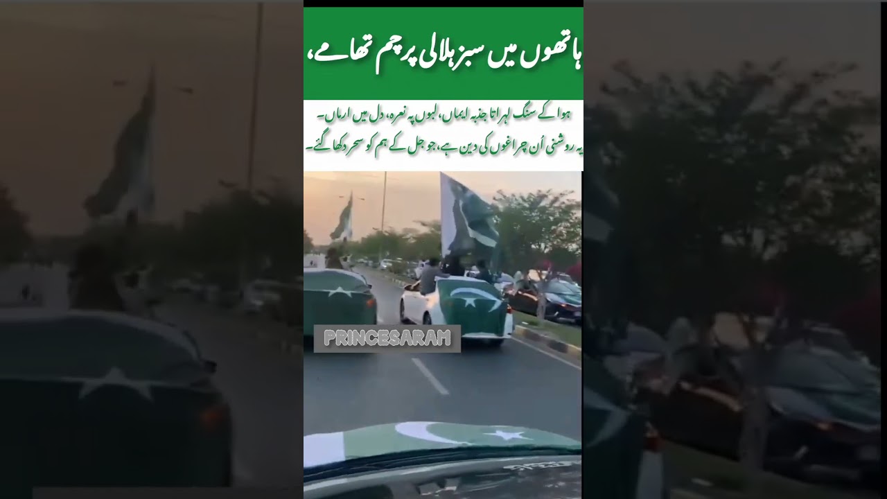 Youth Wave the Flag of Freedom 