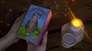 :      |   | ASMR Cat Tarot | Whisper