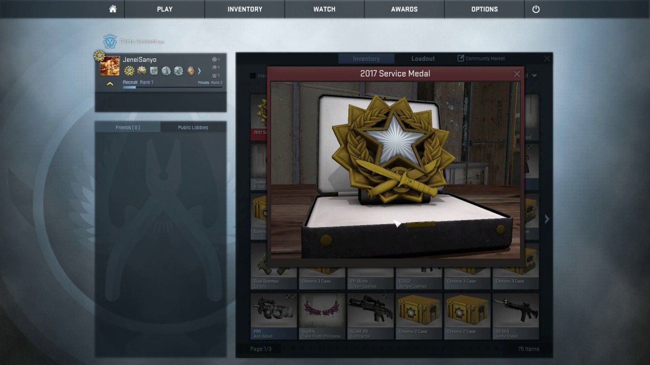 CS:GO | 2017 Service Medal | - YouTube