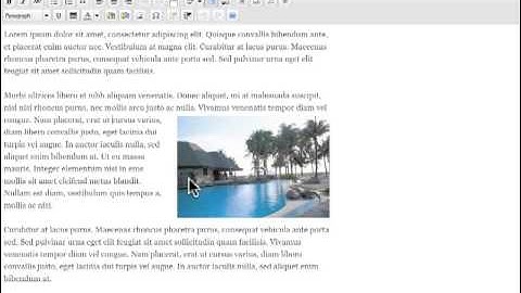 How to Move and Sizing Images in Text Editor - Wordpress Tutorials