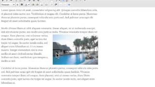 How to Move and Sizing Images in Text Editor - Wordpress Tutorials