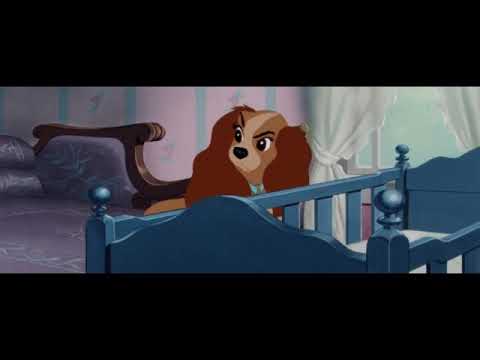 Кадр из фильма «Леди и Бродяга»