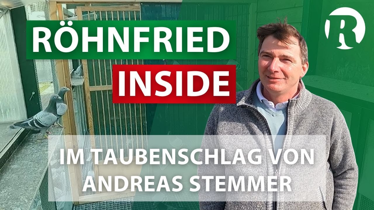 RÖHNFRIED INSIDE Mini bei Andreas Stemmer - BRIEFTAUBEN