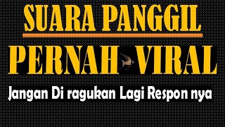 SUARA PANGGIL WALET PERNAH VIRAL || sp viral di dunia perwaletan