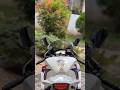 🐰 #cbr1000rr #bikelover #shortvideo #japan