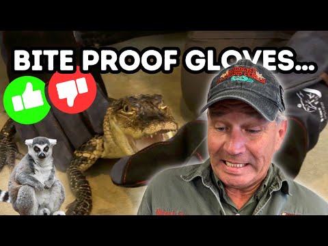 Do Bite Gloves Actually Work? | REPTIZOO UNBOXING