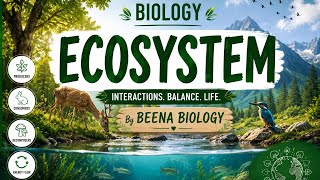 Energy flow #Ecosystem#by Beena Biology #