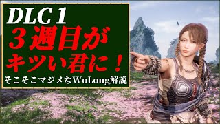 【WoLong解説】3週目以降の攻略に重要な事まとめ～変更点と下準備、装備構成編～