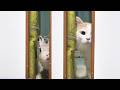 いつも寝坊しそうになると起こしに来るうさぎさんが今日から猫も連れてくるようになった