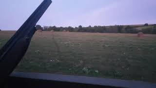 Líščička Keď Čakáš Na Vysokú