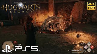 Hogwarts Legacy - East of Brocburrow Treasure Vault Guide Net Worth