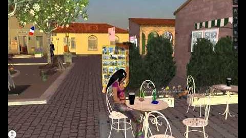 Professional development and language learning in Virtual Worlds