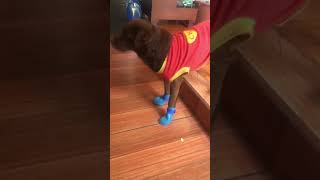 IMG 5036