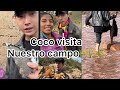 Nuestro amigo coco nos acompaa al campo 