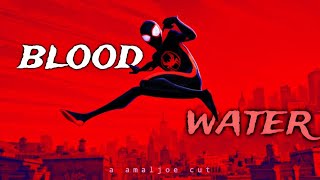 Spiderman across the spiderverse AMV- BLOOD//WATER [Miles Morales] Resimi