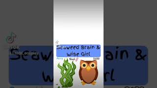 Seaweed Brain & Wise Girl [official lyrics]