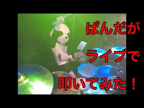 ぱんだがライブで叩いてみた