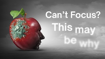 Why You Can’t Focus Anymore – And How to Fix It