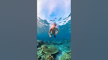 @insta360 New Invisible Dive Case works great #insta360x3