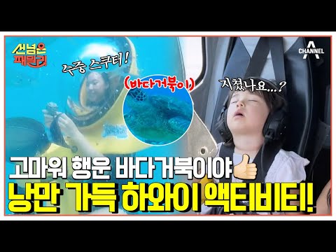 [#클립배송] 대자연에서 즐기는 액티비티! 현지인이 추천하는 하와이 액티비디 大공개~ | 선 넘은 패밀리 41 회