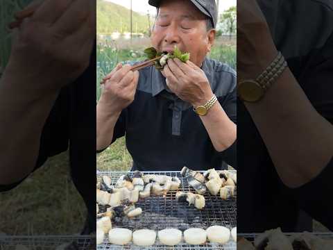 숯불에 구운 민물장어로 한 잔! #먹방 #shorts #요리