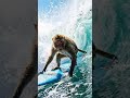 Create video using 202604092154 1