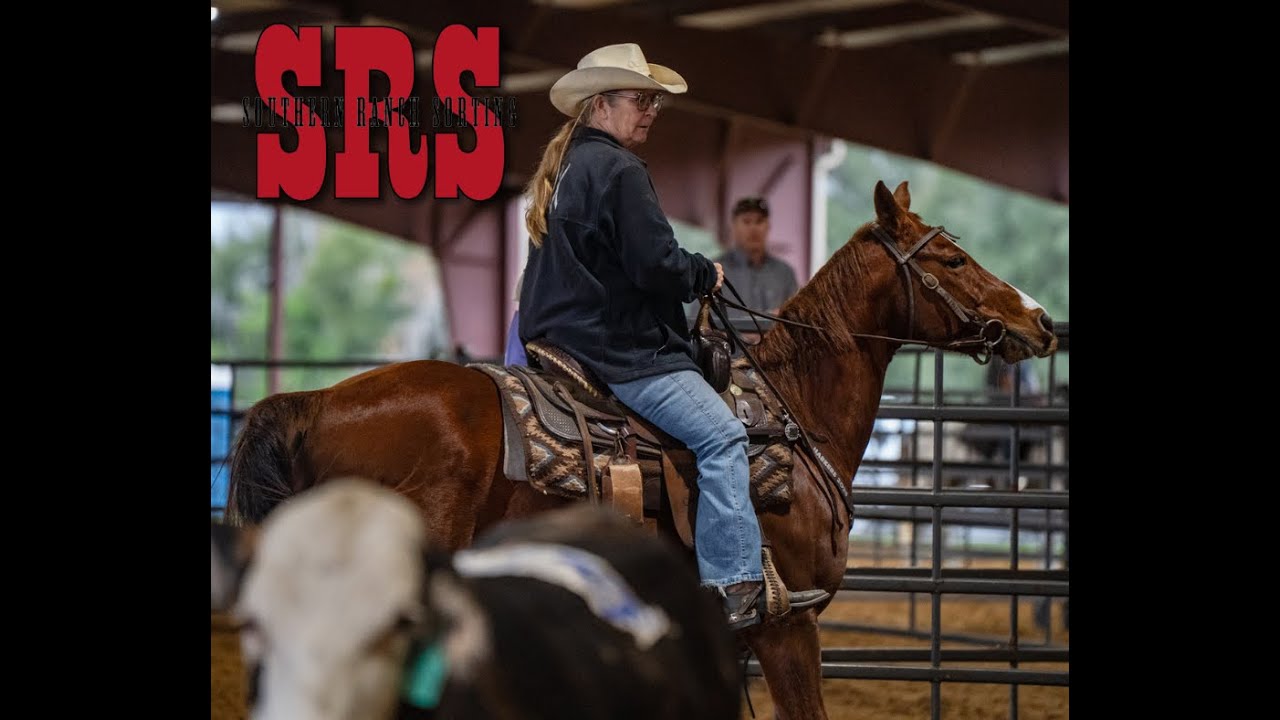 Standard Operating Practice Ranch Ranch Sorting Practice Run | Short Clip - YouTube