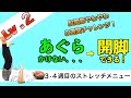 【股関節やわやわ8週間チャレンジ！レベル2】あぐらかけない→開脚ができるまで［3-4週目のストレッチメニュー］