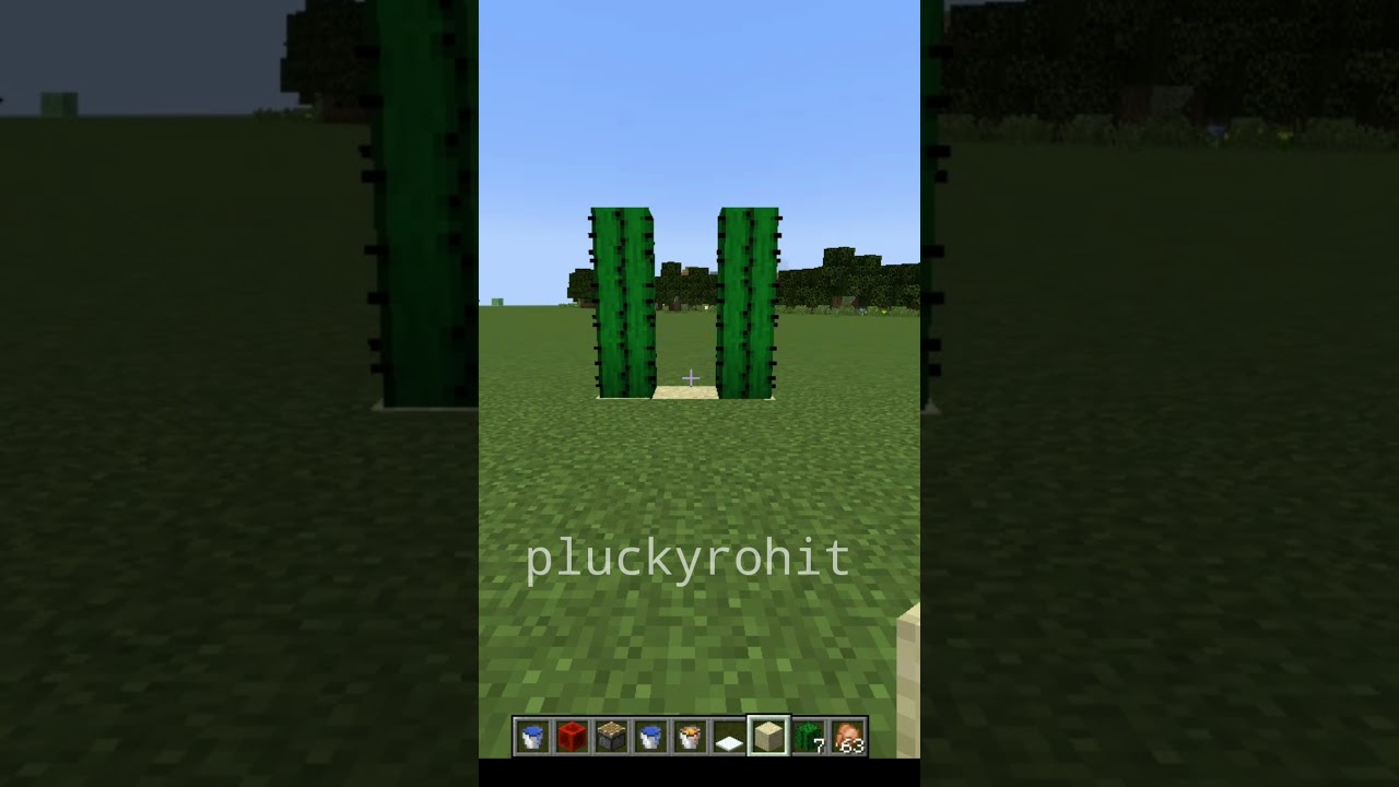 minecraft amazing facts cactus facts you know 