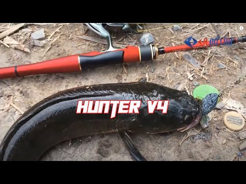 Video Mồi nhái hơi câu cá lóc Hunter v4 - youtube