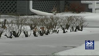 Wintry mix caused messy morning commute