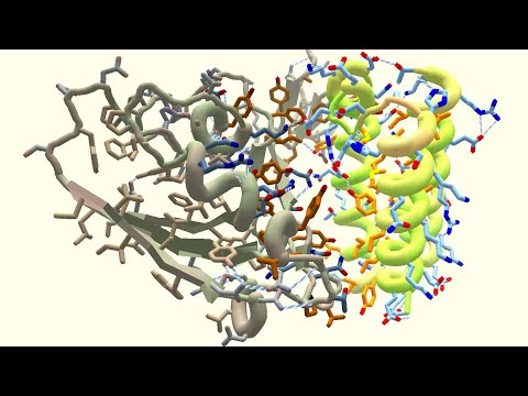 Crowdsourcing the Seed for Coronavirus Antiviral Medications