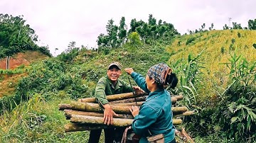 CUỘC SỐNG VÙNG CAO | Gặp vợ chồng người dân tộc Dao đi lấy củi