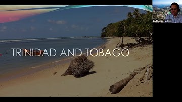 Decolonizing and racing research: Critical perspectives on research with racialized communities