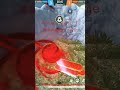 Zone can't damage me with Orion power #short #viral #video