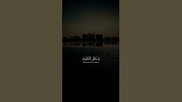 ( وَلَقَدْ خَلَقْنَا الإنْسَانَ وَنَعْلَمُ مَا تُوَسْوِسُ بِهِ نَفْسُهُ) تلاوة خاشعة بصوت حمزة بوديب