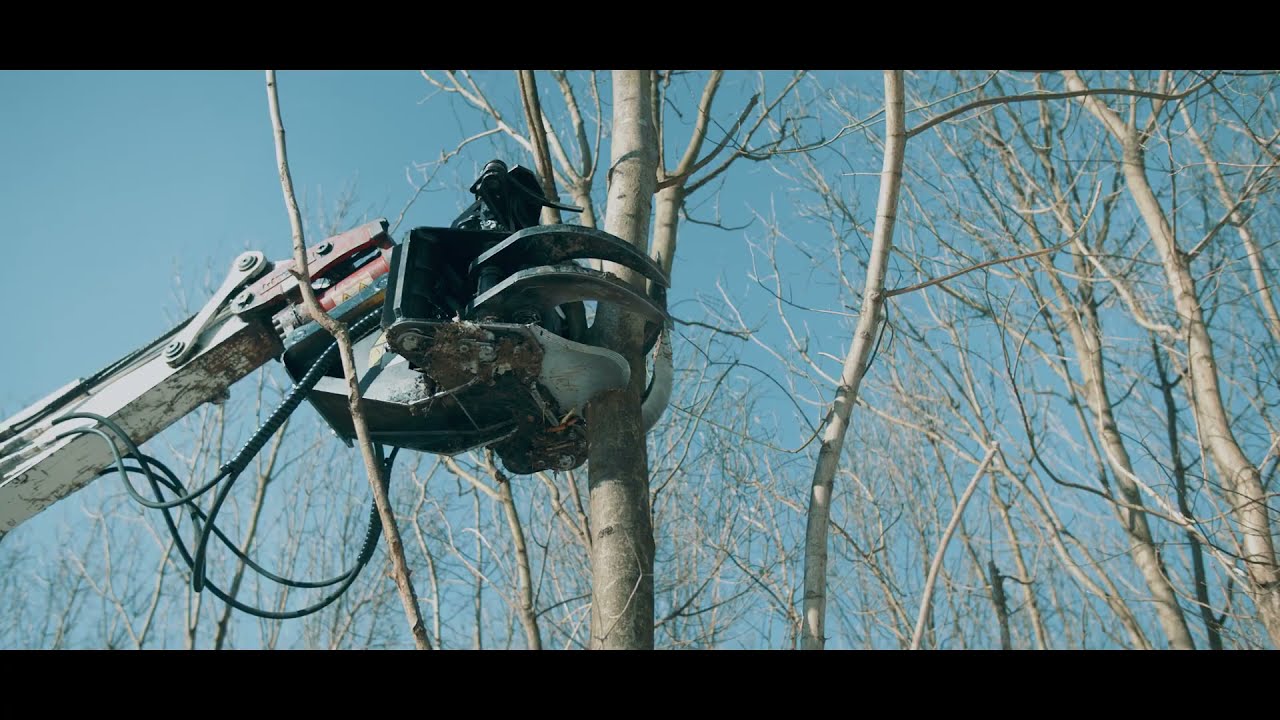 Fällgreifer JAK 250 mit Collector in Aktion.